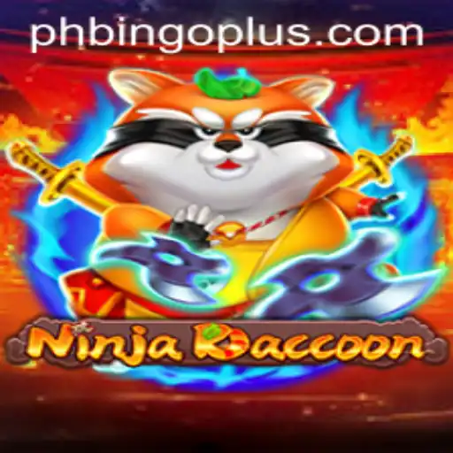 Discover the World of NinjaRaccoon
